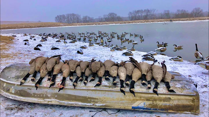 SNOWY GOOSE & DUCK HUNT-INSANE AMOUNT OF BIRDS IN DECOYS! (Late season water decoy spread)