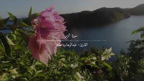 سورة الزمر.  القارئ : عبدالوهاب طاهر