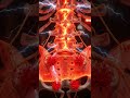 The Hidden Damage Caffeine Does to Your Body #health #brainhealth #humanbody