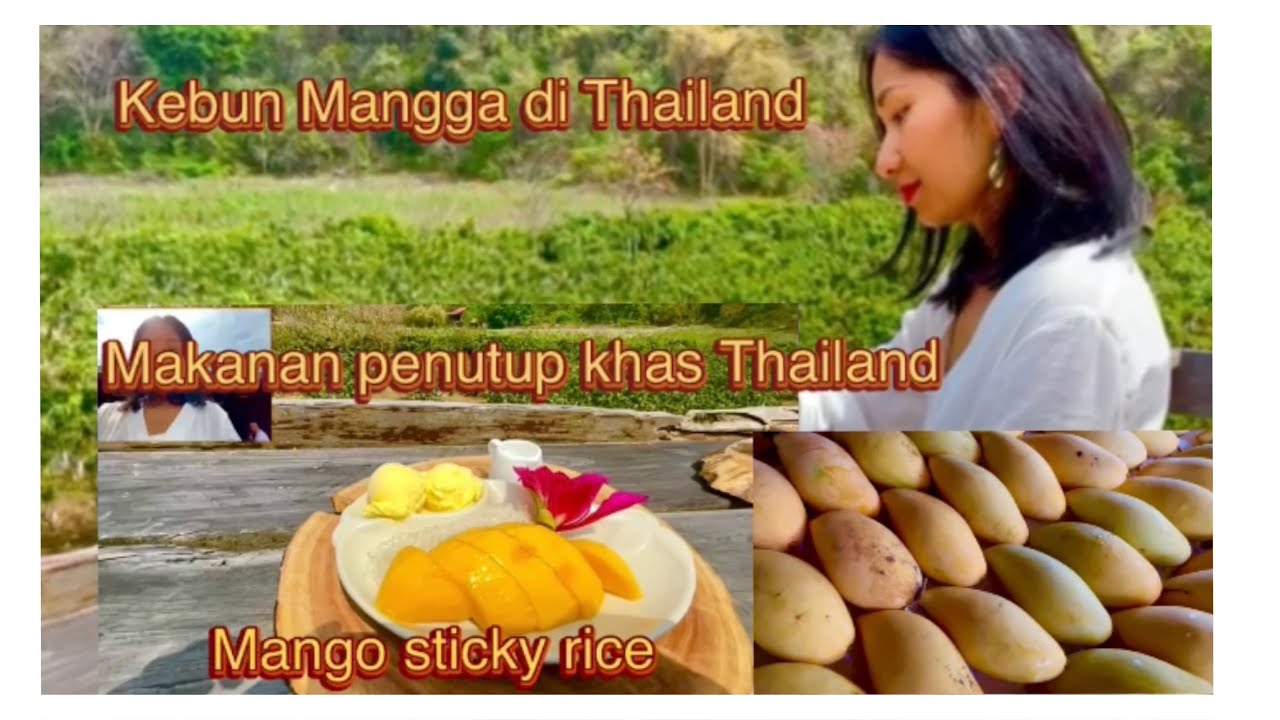 Kebun Mangga di Thailand menyajikan makanan penutup khas Thailand Mango