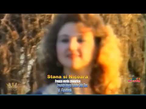 Stana Izbasa si Petrica Nicoara  -   Colaj : Frunza verde zmeurica -  pai nu pai da    anii '90