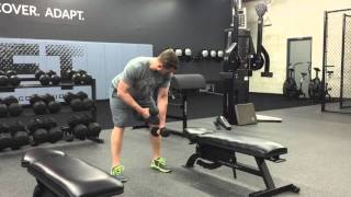Bent Over DB Reverse Fly