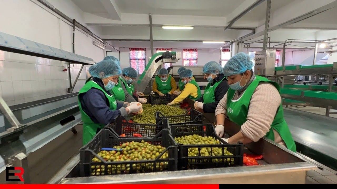 Kryeministri Edi Rama - Lushnjë, fabrika e përpunimit të frutave dhe perimeve “Zdravo shpk”