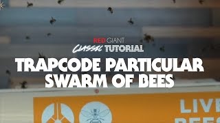 Classic Tutorial | Trapcode Particular Swarm of Bees