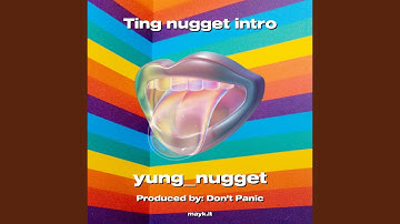 Ting nugget intro