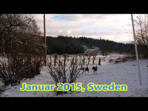 Video: 2012 schwedisches Eishotel