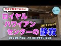 【コロナショック】ロイヤルハワイアンセンターの今が静か過ぎてツライ【日本で報道されないハワイ】