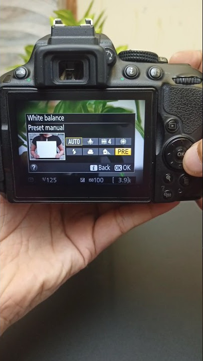 Nikon D5300 white balance #shorts