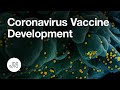 Coronavirus Vaccine Development