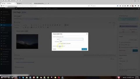 Creating, Modifying, and Deleting Links on a WordPress Site
