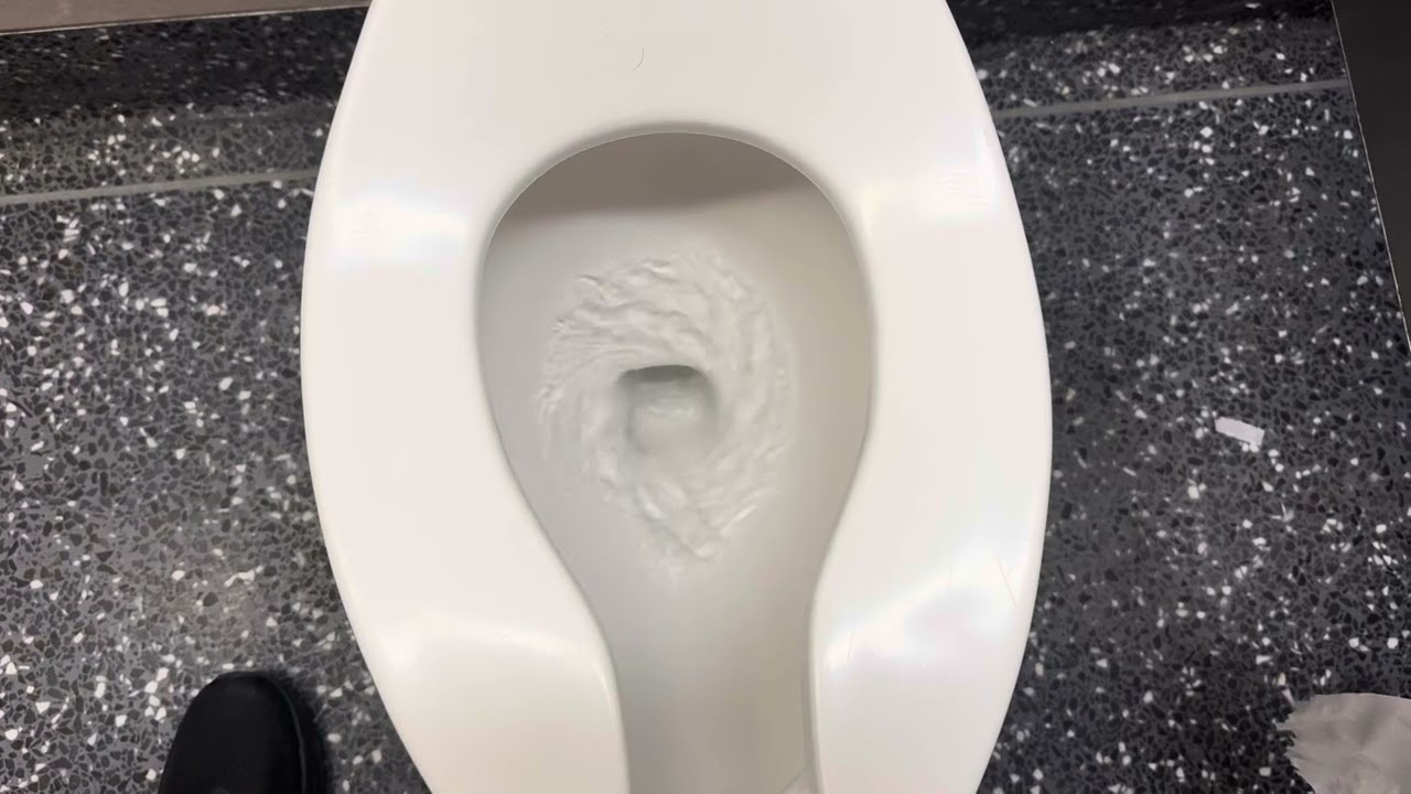 Flushing the toilet at the Seattle-Tacoma International Airport in SeaTac Washington!!!!!!!!