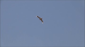 Skywalker X8 honeycomb composited material