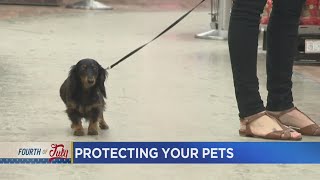 Don’t Forget Your Pets On The Fourth Of July