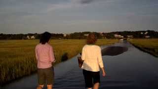 Lt. Island, high tide Aug 16, 2013