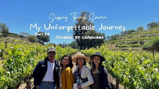 Sipping Through Sonoma My Unforgettable Journey At Imagery And Benziger Family Winery Part Three