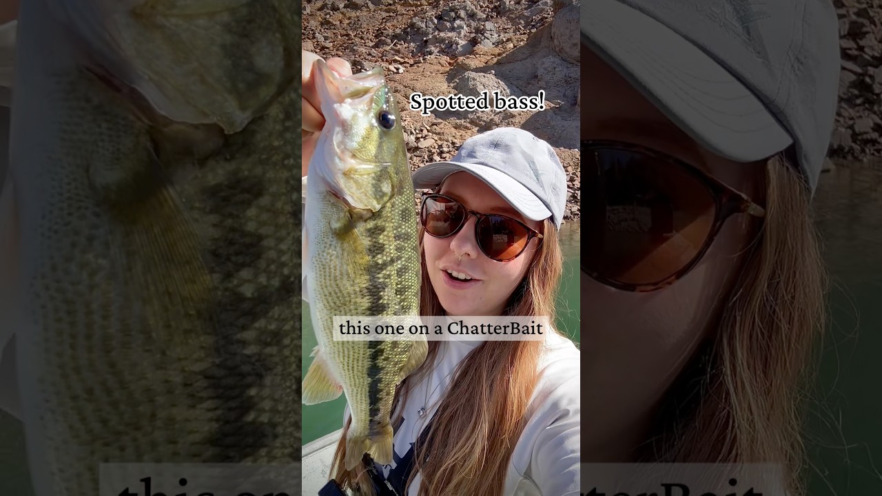 This one hit hard!! A great bass on the Chatterbait to start the day #fishing #shorts