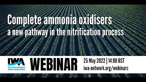 IWA Webinar "Complete ammonia oxidizers – a new pathway in the nitrification process"