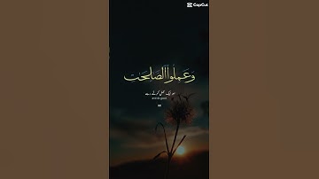 سورة العصر #قران_كريم #quran #راحة_نفسية #ايات_قرانيه_قصيره #viral #foryou