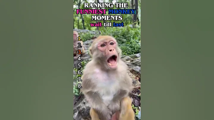 Funniest Monkey Moments Ever 🐵😂 | Try Not to Laugh Challenge! #monkey  #shorts #funny