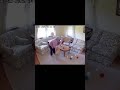 Goat Invades Grandma's Living Room!
