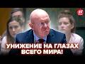 💥ВАШИНГТОН ВЗОРВАЛ ЗАЛ! Небензю УНИЗИЛИ в ПРЯМОМ ЭФИРЕ (ВИДЕО). МОСКВА В БЕШЕНСТВЕ!