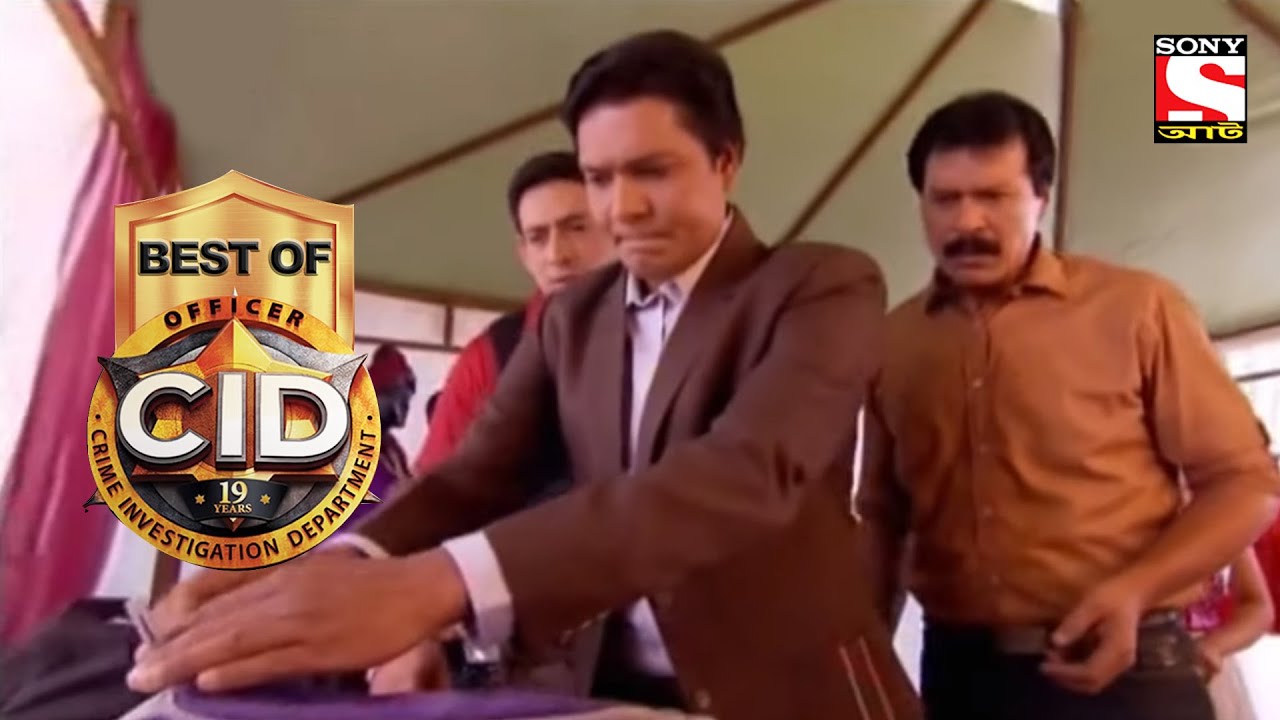 Jarocin festival 1980. софи лорен эль сид. алисия санс эль сид. Main cid. Main cid.