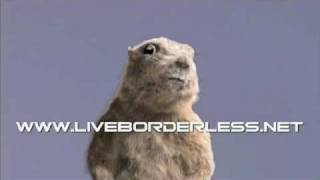 Dramatic Chipmunk on top of Burj Dubai