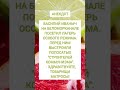 Спасибо за 👍 комментарий, подписку ♥️
