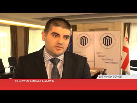 DIB სკოლაში სემინარი დასრულდა