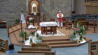 Holy Mass – April 23, 2026