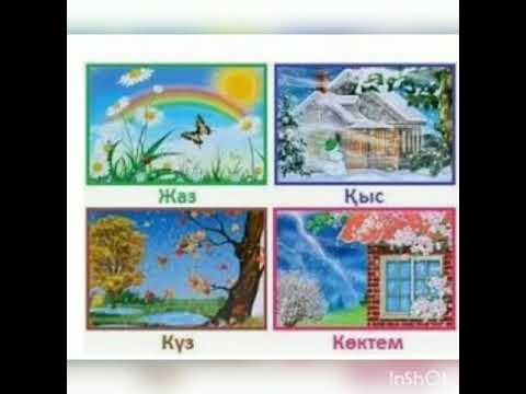 Қоғамдық көліктегі кеуделер бейне