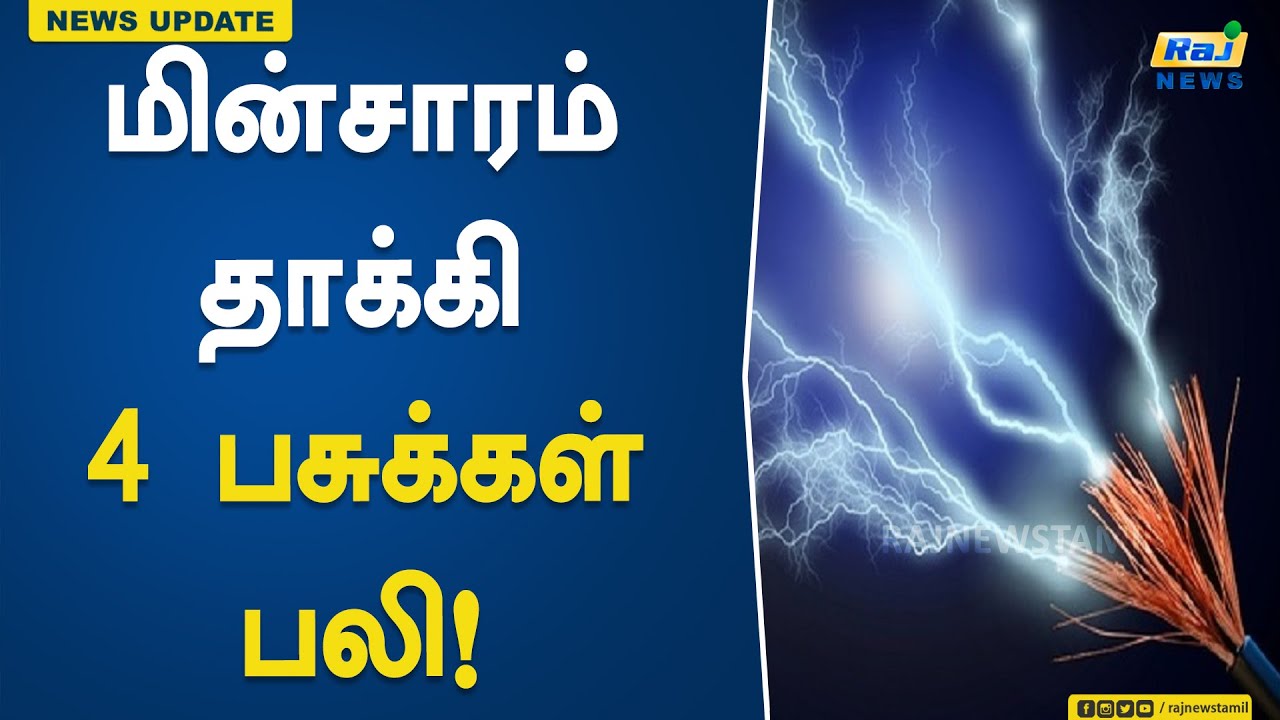 மின்சாரம் தாக்கி 4 பசுக்கள் பலி..! Electric Shock | Shoolagiri | Cows | Died