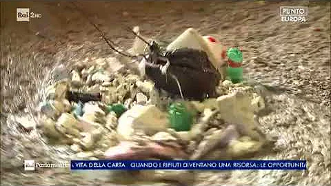 Chi raccoglie carta?