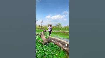 Chitwan viral place batuli pokhari❣️