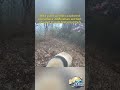 Wild giant pandas captured on camera in Meishan section of Giant Panda National Park