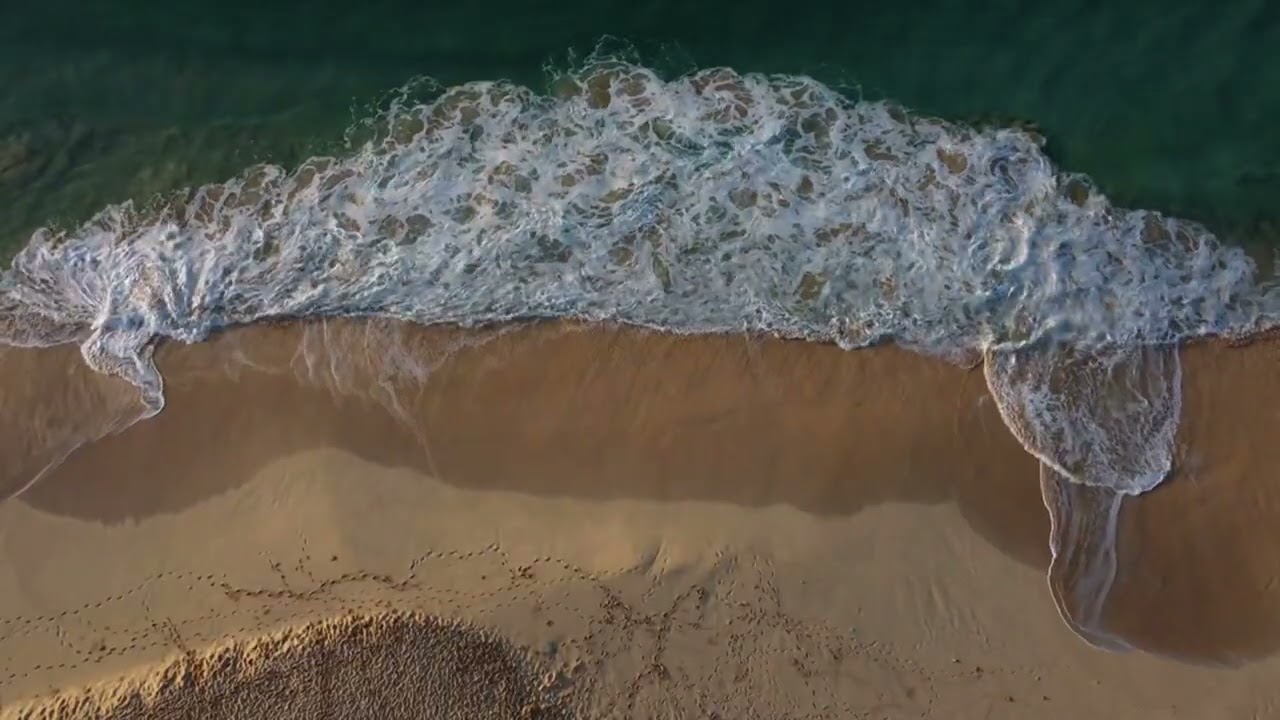 For the love of this graceful gazelle,my heart has forgotten all rest من حب هده الغزالة