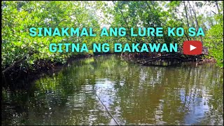 Sinakmal ang lure ko sa gitna ng bakawan [popper & floating pencil lures]