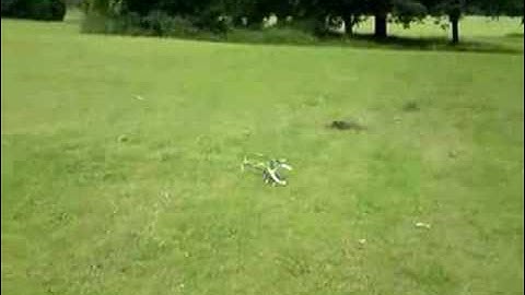 Trex-450 First Flight