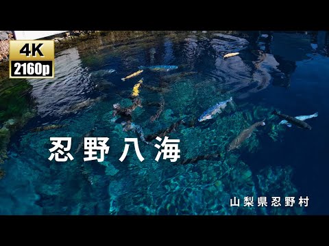 深い森の湧水湖　ジオラマ 深い森の湧水湖 ジオラマ