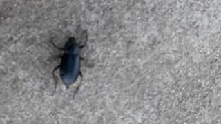 2019. Gada 30. Oktobris