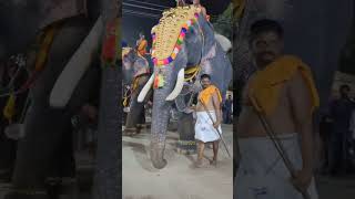 Mangalamkunnu Ayyappan Puthupally Keshavan