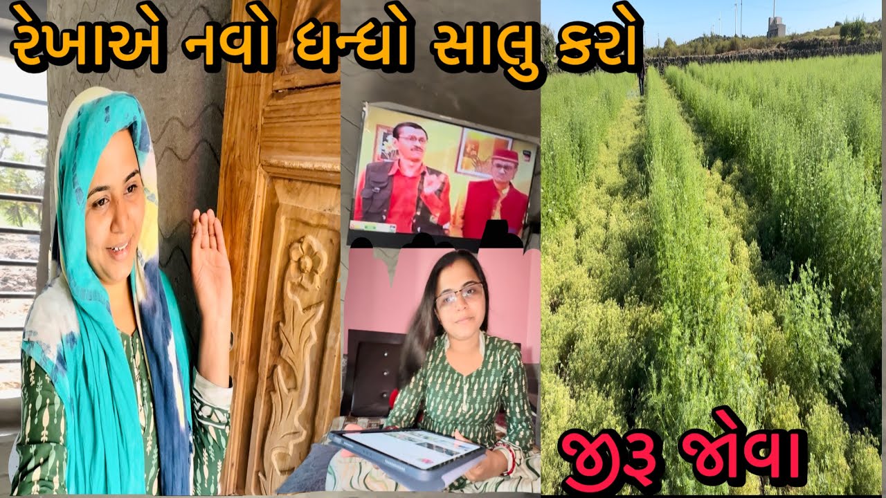 રેખાએ નવો ધન્ધો સાલુ કરો✅જીરૂ જોવા😀RR Life Gujarati village life vlog