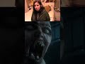 I DID NOT MOVE!!! I'm sorry Sam... I'll have to do this AGAIN | rinoa_ilian on #Twitch