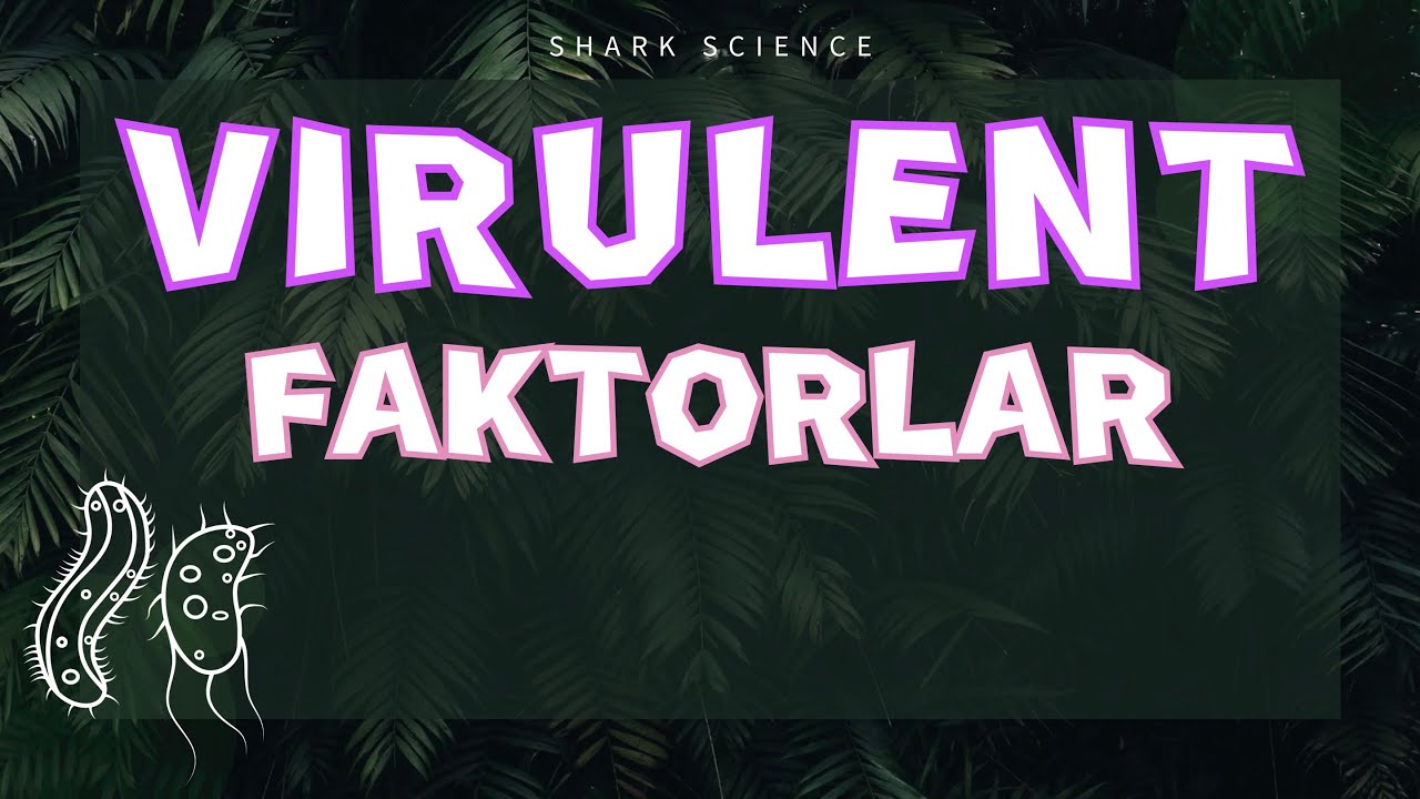 ᴠɪʀᴜʟᴇɴᴛ ғᴀᴋᴛᴏʀʟᴀʀ | ᴍɪᴋʀᴏʙɪᴏʟᴏɢɪʏᴀ