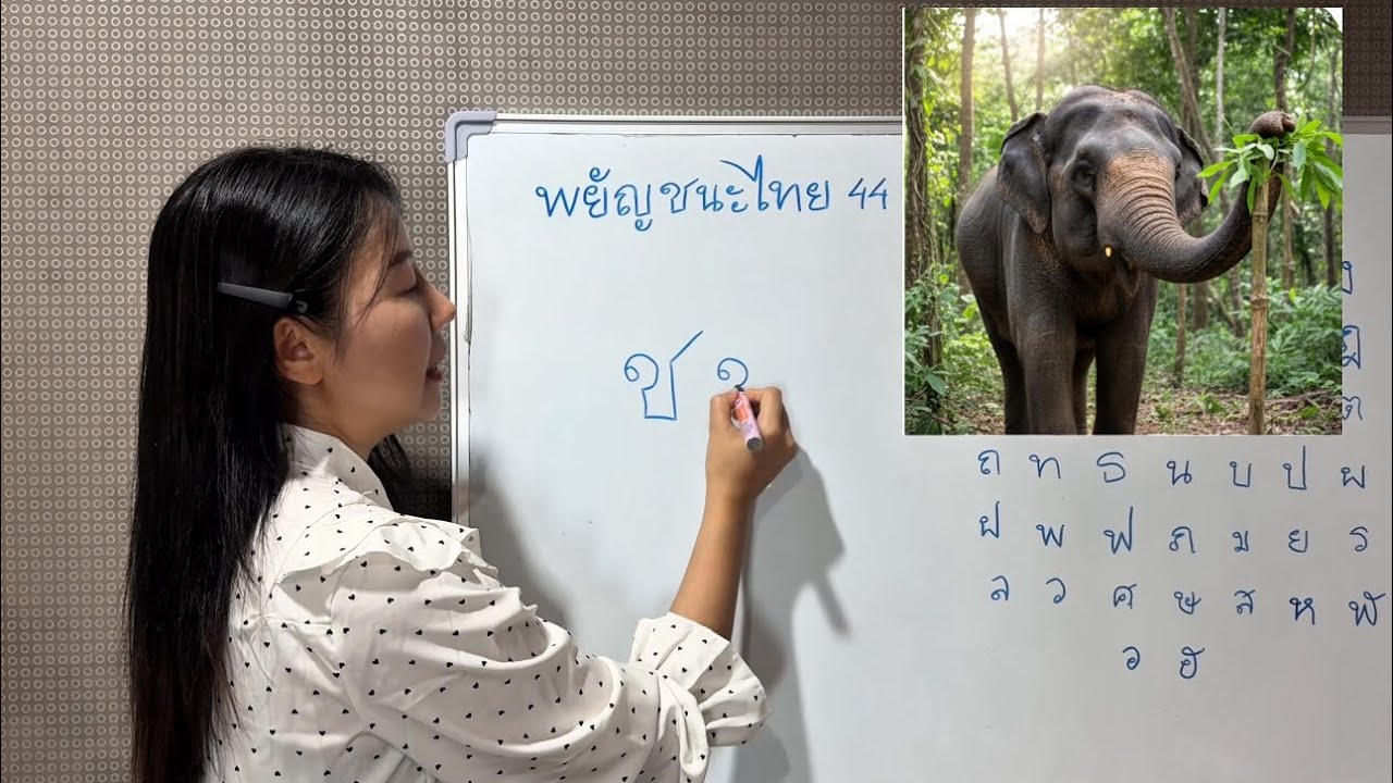 တွၼ်ႈ-3 လၢႆးတႅမ်ႈတူဝ်မႄႈလိၵ်ႈထႆး