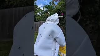 Helping these Bee's into their new home!