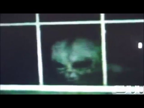 Video: Ufoloogid On Teatanud UFO-de Sagedasest Esinemisest Ameerika Ühendriikide Territooriumil - Alternatiivvaade
