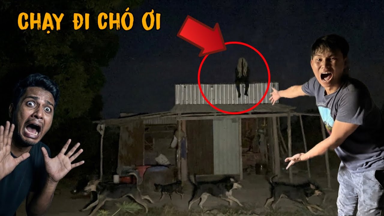Chủ Nhà Và 4 Chú Chó Điều Phải Bỏ Chạy Cùng Với Lộc Vì Con Quỷ Này Quá ...