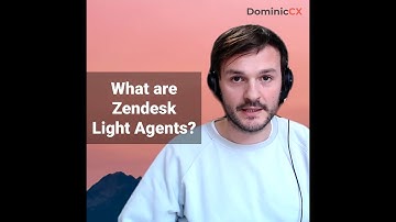 What is a Zendesk light agent?