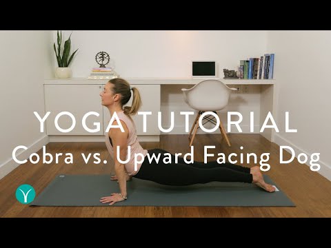 cobra-pose-vs.-upward-facing-dog-(yoga-tutorial)